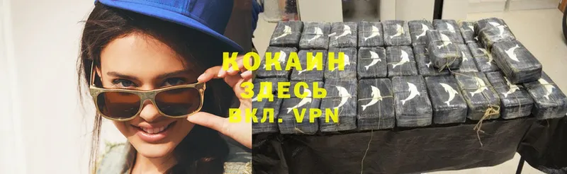 Cocaine FishScale  где найти наркотики  Электросталь 